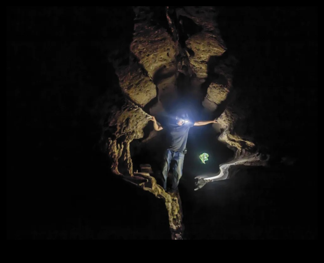 אמנות הקדמונים: חשיפת היצירתיות האנושית הקדומה ביותר