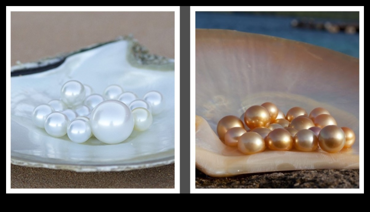 פנינים קורנות: סימפוניה של זוהר זוהר