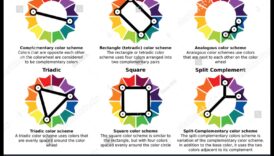 5 טיפים לבחירת פלטת הצבעים המושלמת לעיצוב הפנים שלך