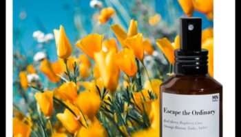 נסיגה ממריצה: יצירת רגעים של התחדשות עם תה ג'ינג'ר