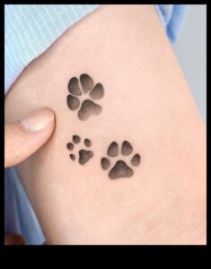 הדפסי כפות בזמן: נרטיבים של קעקוע בעלי חיים נחשפו