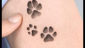 הדפסי כפות בזמן: נרטיבים של קעקוע בעלי חיים נחשפו