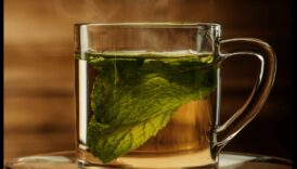 הנאות מנטה: מדריך לעולם המענג של תה מנטה