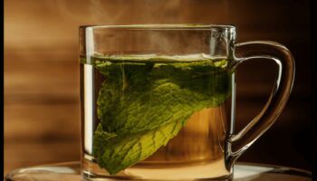 הנאות מנטה: מדריך לעולם המענג של תה מנטה